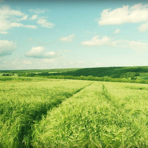 偷窥Japanese女厕大便
