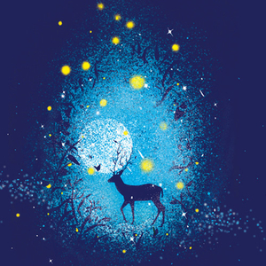 偷窥Japanese女厕大便
